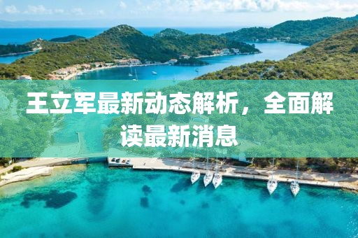 王立軍最新動態(tài)解析，全面解讀最新消息