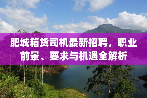 肥城箱貨司機最新招聘，職業(yè)前景、要求與機遇全解析