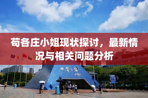 茍各莊小姐現(xiàn)狀探討，最新情況與相關(guān)問(wèn)題分析