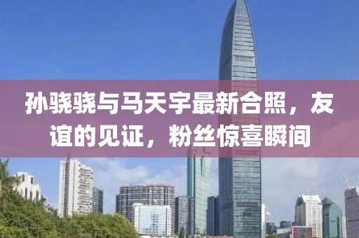 孫驍驍與馬天宇最新合照，友誼的見證，粉絲驚喜瞬間