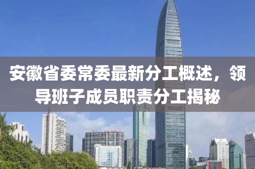 安徽省委常委最新分工概述，領導班子成員職責分工揭秘