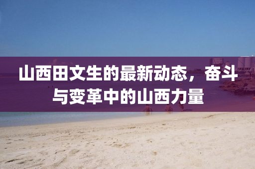 山西田文生的最新動(dòng)態(tài)，奮斗與變革中的山西力量