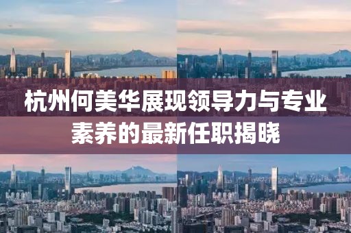 杭州何美華展現(xiàn)領(lǐng)導(dǎo)力與專業(yè)素養(yǎng)的最新任職揭曉