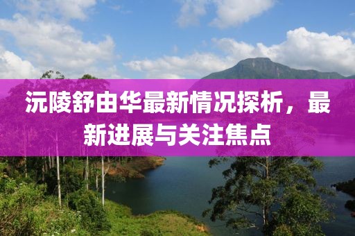 沅陵舒由華最新情況探析，最新進(jìn)展與關(guān)注焦點(diǎn)