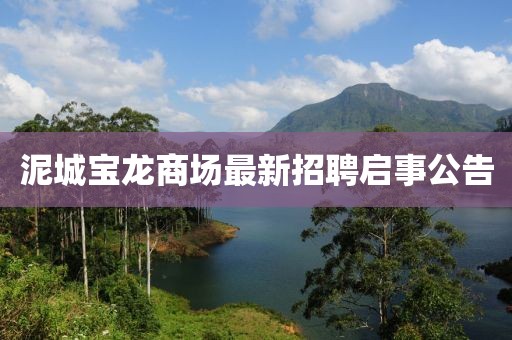 泥城寶龍商場最新招聘啟事公告