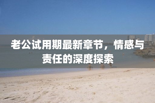 老公試用期最新章節(jié)，情感與責任的深度探索