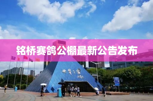 銘橋賽鴿公棚最新公告發(fā)布