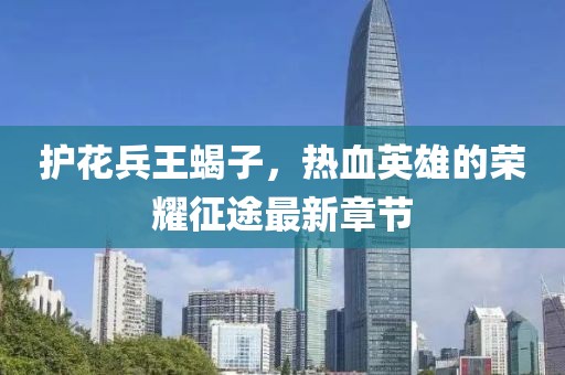 護花兵王蝎子，熱血英雄的榮耀征途最新章節(jié)