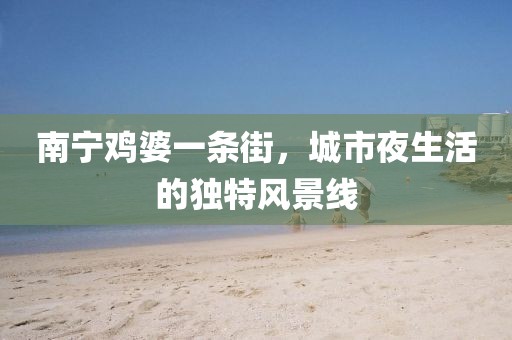 南寧雞婆一條街，城市夜生活的獨特風(fēng)景線