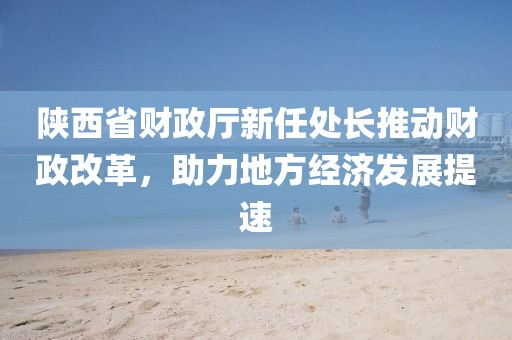 陜西省財(cái)政廳新任處長推動(dòng)財(cái)政改革，助力地方經(jīng)濟(jì)發(fā)展提速