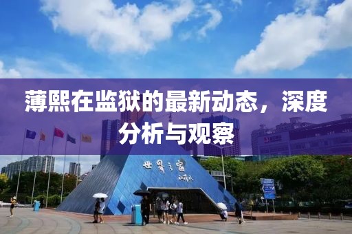 薄熙在監(jiān)獄的最新動態(tài)，深度分析與觀察