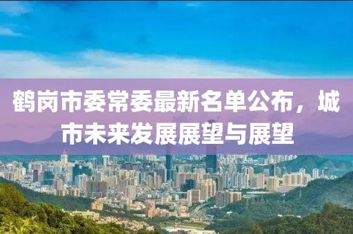 鶴崗市委常委最新名單公布，城市未來發(fā)展展望與展望