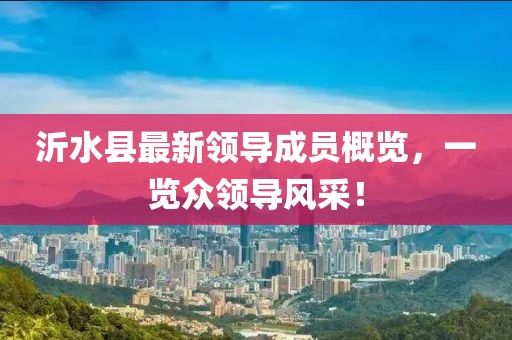 沂水縣最新領(lǐng)導(dǎo)成員概覽，一覽眾領(lǐng)導(dǎo)風(fēng)采！
