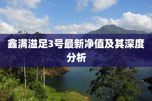 鑫滿溢足3號最新凈值及其深度分析