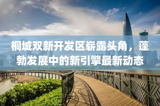 桐城雙新開(kāi)發(fā)區(qū)嶄露頭角，蓬勃發(fā)展中的新引擎最新動(dòng)態(tài)