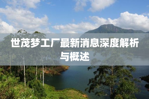 世茂夢(mèng)工廠最新消息深度解析與概述