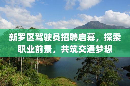 新羅區(qū)駕駛員招聘啟幕，探索職業(yè)前景，共筑交通夢想