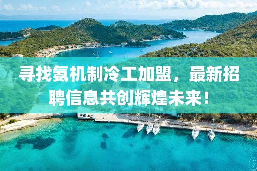 尋找氨機制冷工加盟，最新招聘信息共創(chuàng)輝煌未來！