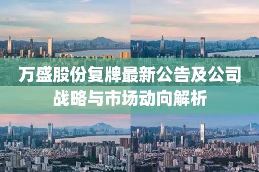萬(wàn)盛股份復(fù)牌最新公告及公司戰(zhàn)略與市場(chǎng)動(dòng)向解析