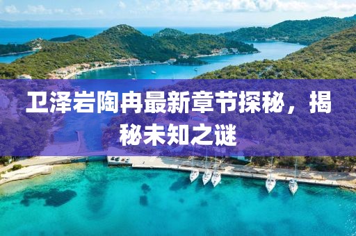 衛(wèi)澤巖陶冉最新章節(jié)探秘，揭秘未知之謎
