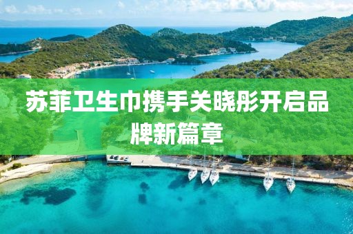 蘇菲衛(wèi)生巾攜手關(guān)曉彤開啟品牌新篇章