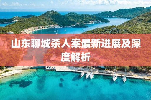 山東聊城殺人案最新進展及深度解析