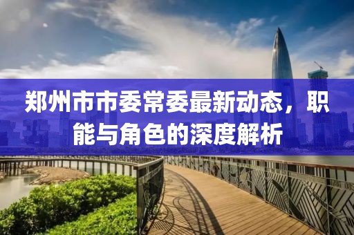 鄭州市市委常委最新動態(tài)，職能與角色的深度解析