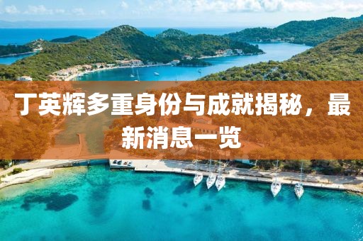 丁英輝多重身份與成就揭秘，最新消息一覽