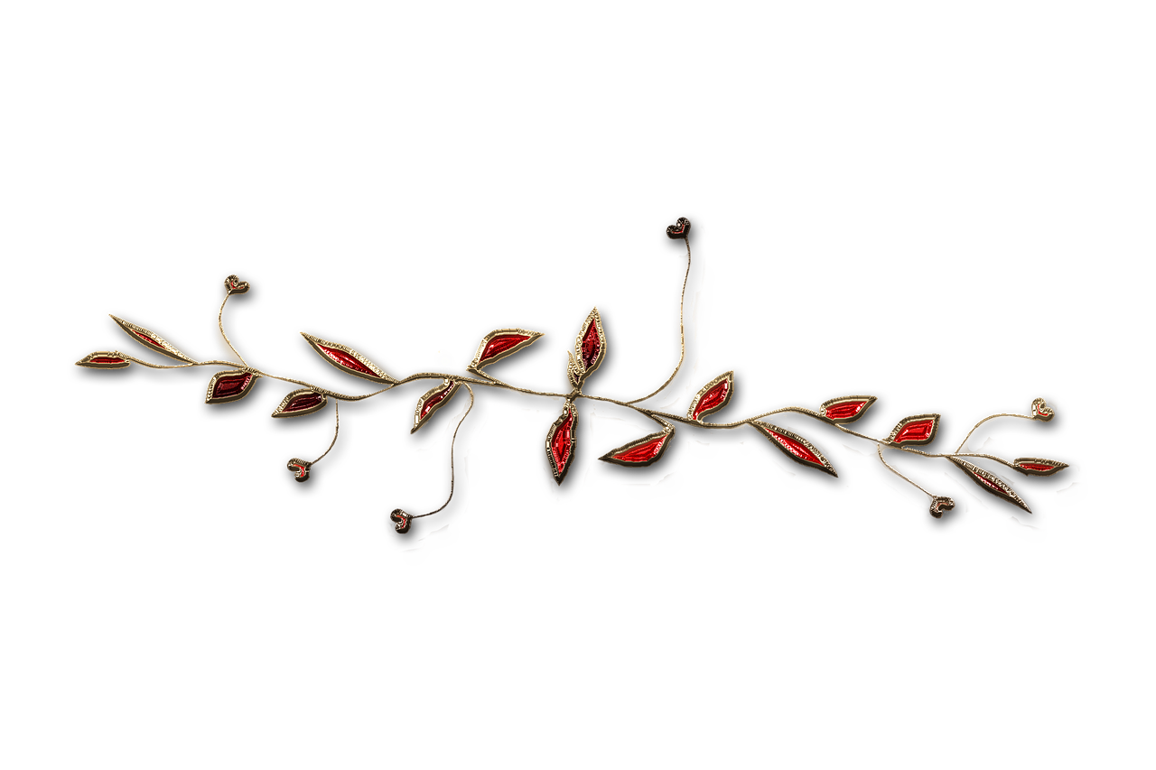 廣西大紅八角產(chǎn)業(yè)蓬勃發(fā)展，前景廣闊，最新消息與動態(tài)