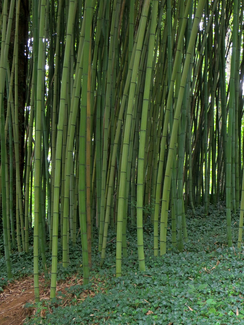 溫州全力備戰(zhàn)臺風(fēng)，溫州臺風(fēng)動態(tài)報告及應(yīng)對臺風(fēng)災(zāi)害的最新消息（2017年）