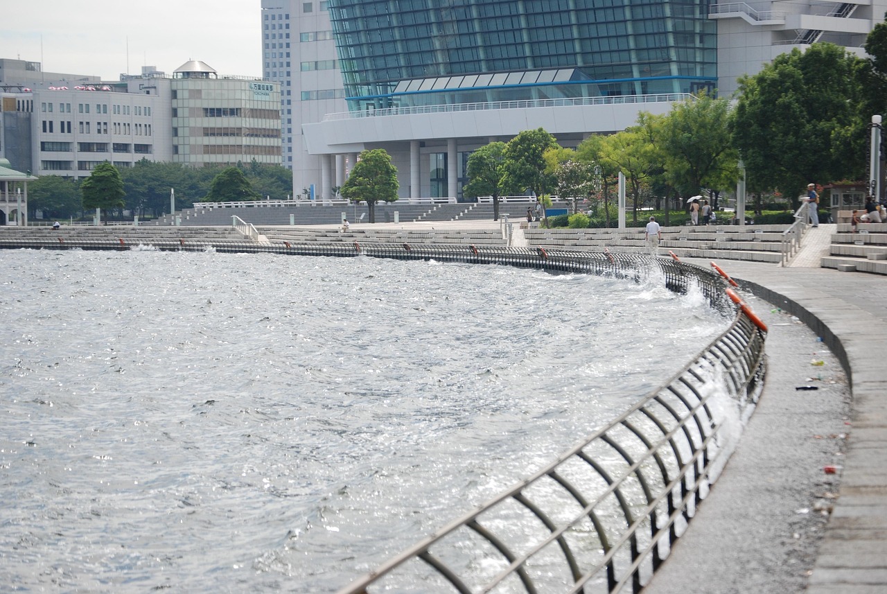鄭州海昌海洋公園最新動態(tài)揭秘，揭開神秘面紗，展現(xiàn)海洋魅力奇觀