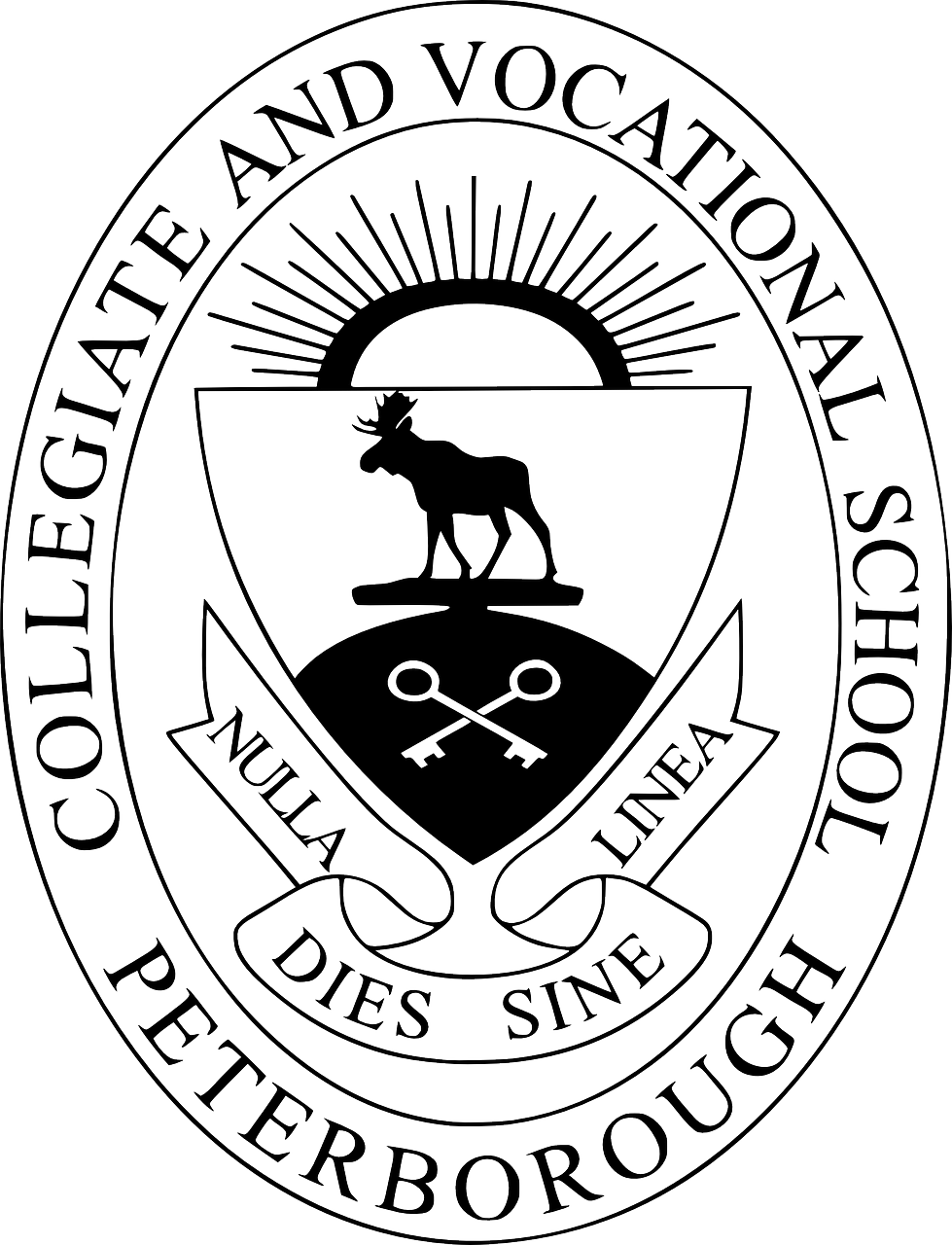 共青城大學(xué)城蓬勃發(fā)展，教育新篇章的最新消息