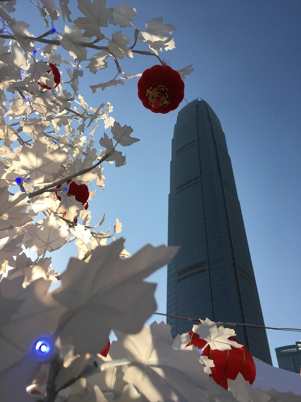 漫漫長夜新版本砍樹探索，全新體驗之旅
