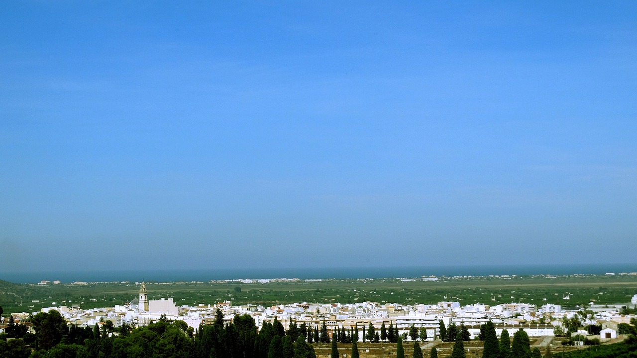 食用油漲價最新動態(tài)，原因分析與市場觀察